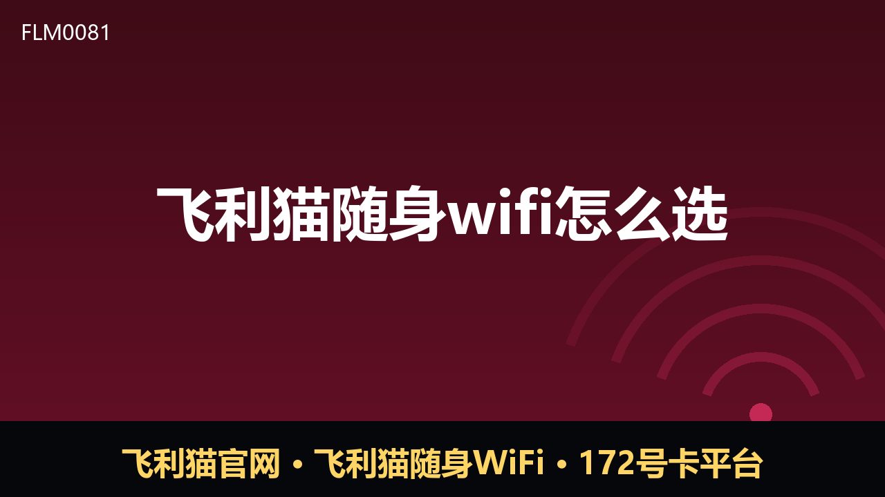飞利猫随身WiFi怎么选？看完这篇不踩坑